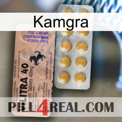 Kamgra 41